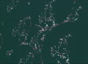 DPM-01A-000SZU-001_PROXY.m4v