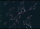Filename=DPM-01A-000T27-001_PROXY.m4v
Filesize=0KiB
Dimensions=0x0
Date added=Apr 01, 2024 DPM-01A-000T27-001_PROXY.m4v