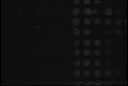Filename=DPM-01N-000TCN-001_PROXY.m4v
Filesize=0KiB
Dimensions=0x0
Date added=Apr 01, 2024 DPM-01N-000TCN-001_PROXY.m4v