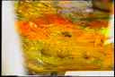 DPM-01P-000TEJ-001_PROXY.m4v