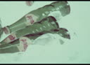 DPM-01Z-000UAF-001_PROXY.m4v
