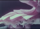 Filename=DPM-01Z-000UC0-001_PROXY.m4v
Filesize=0KiB
Dimensions=0x0
Date added=Apr 01, 2024 DPM-01Z-000UC0-001_PROXY.m4v