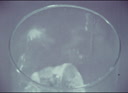 Filename=DPM-01Z-000UE5-001_PROXY.m4v
Filesize=0KiB
Dimensions=0x0
Date added=Apr 01, 2024 DPM-01Z-000UE5-001_PROXY.m4v
