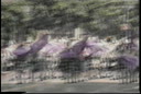 Filename=DPM-044-000V8H-001_PROXY.m4v
Filesize=0KiB
Dimensions=0x0
Date added=Apr 01, 2024 DPM-044-000V8H-001_PROXY.m4v